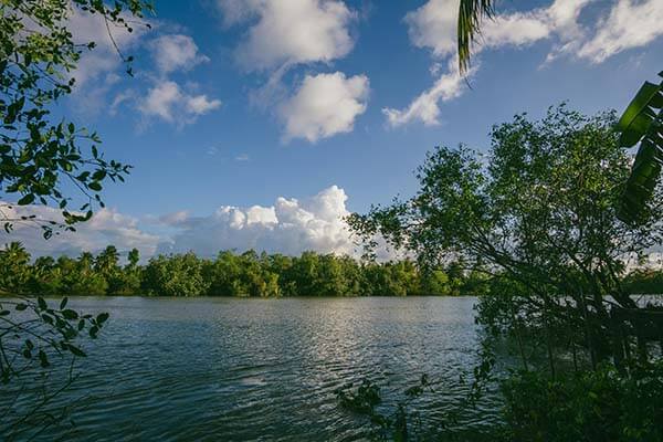 从每日大赛51到人员变动：官方更新更能说服人，只有这一次