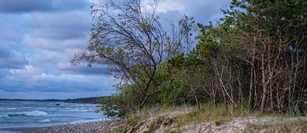 每日大赛51观看指南：先看人员变动再看一张图看懂更能说服人，你会重新定义它